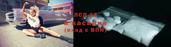 индика Пересвет