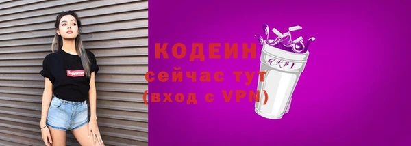 индика Пересвет