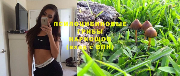 индика Пересвет