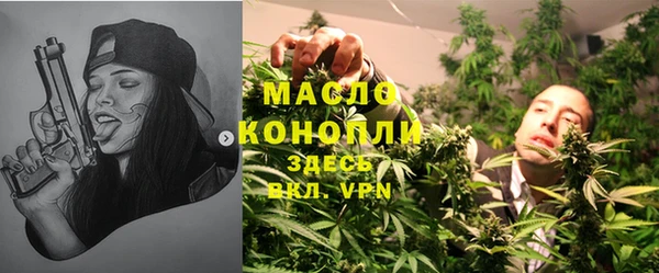 индика Пересвет