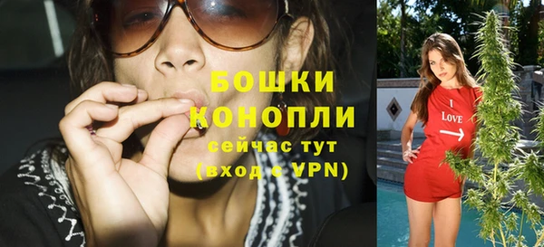 индика Пересвет