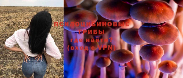 apvp Бутурлиновка