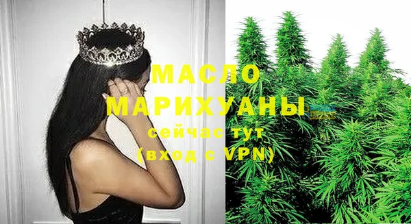 индика Пересвет
